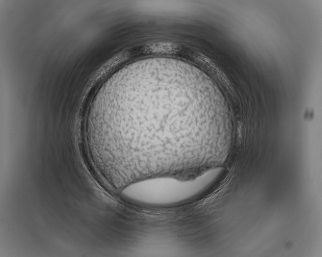 X0000097750725200803281609