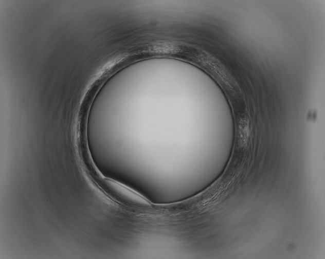 X0000097750726200803281609