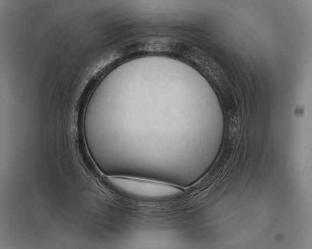 X0000097750727200803281609