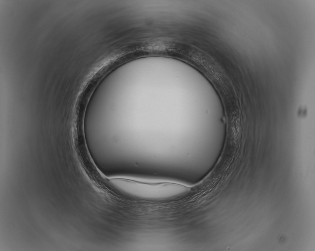 X0000097750728200803281609