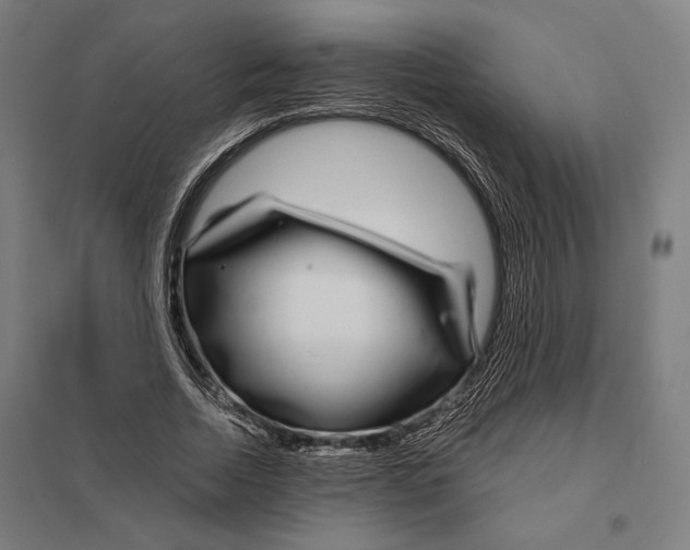 X0000097750730200803281609