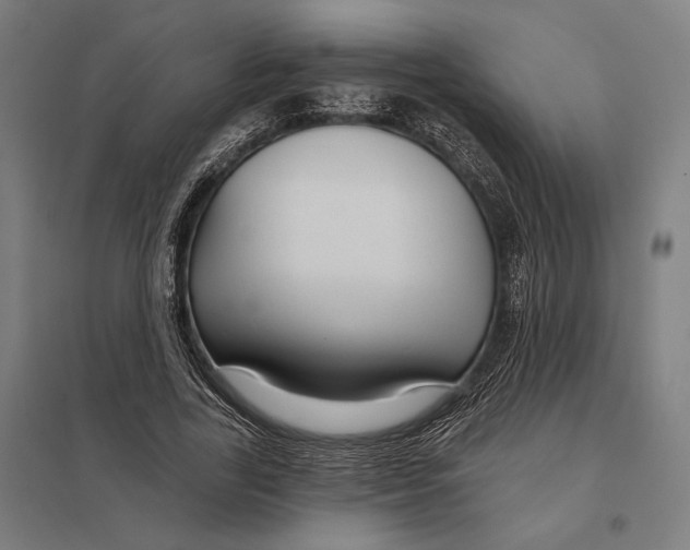 X0000097750731200803281609