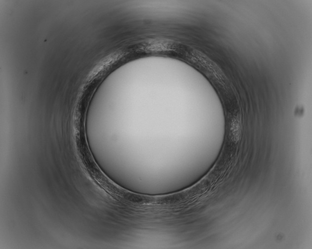 X0000097750732200803281609