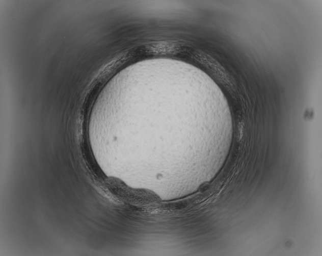 X0000097750733200803281609