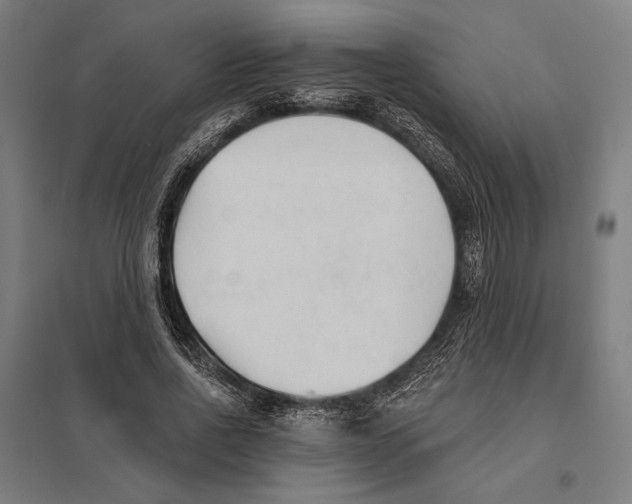 X0000097750734200803281609