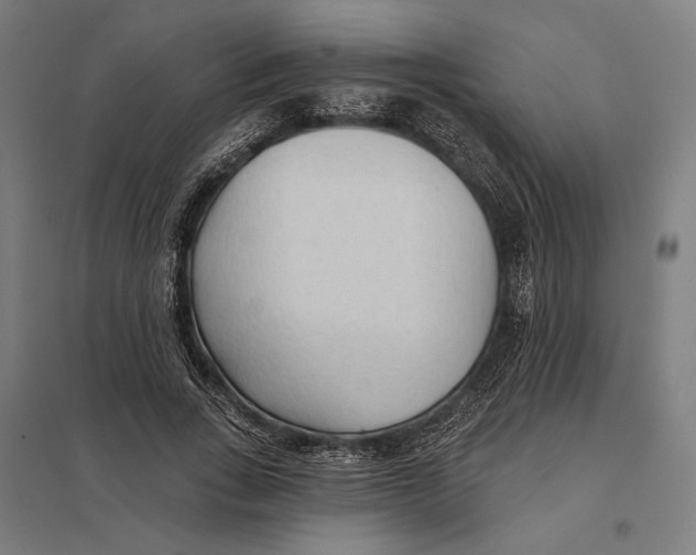 X0000097750735200803281609