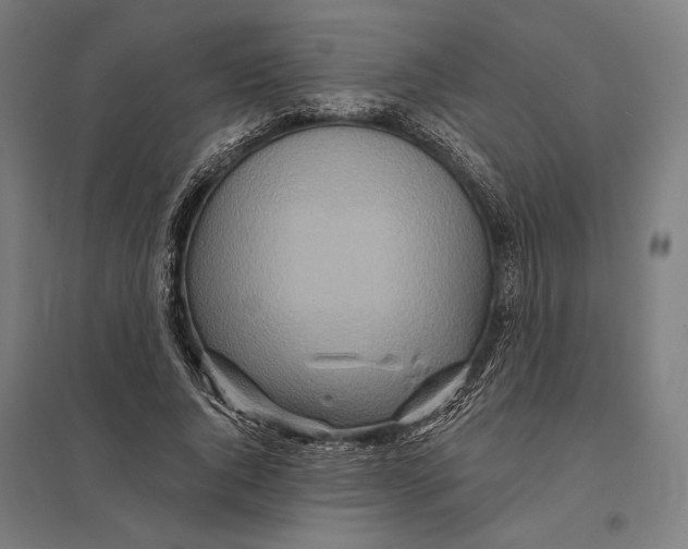 X0000097750736200803281609