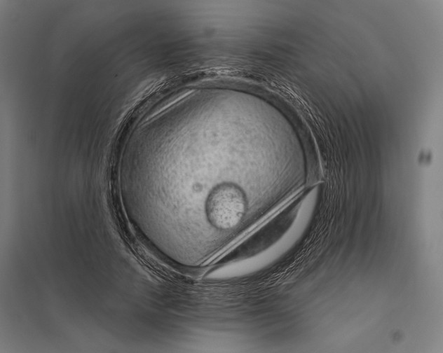 X0000097750738200803281609