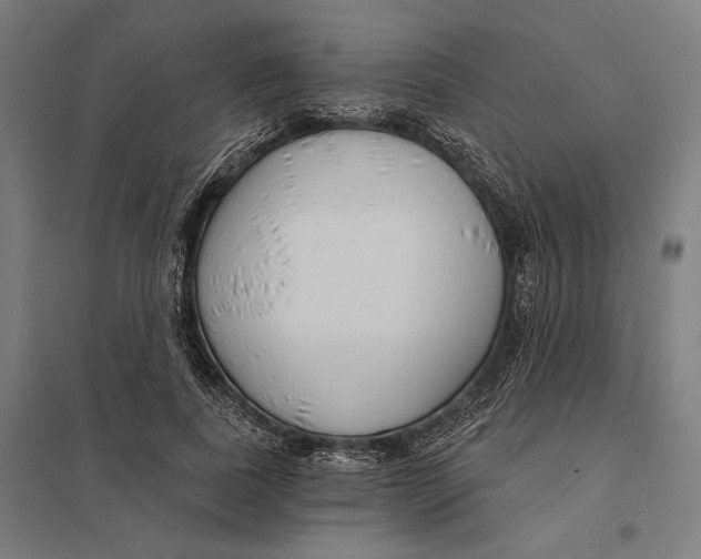 X0000097750739200803281609