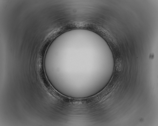 X0000097750740200803281609