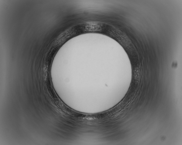 X0000097750741200803281610