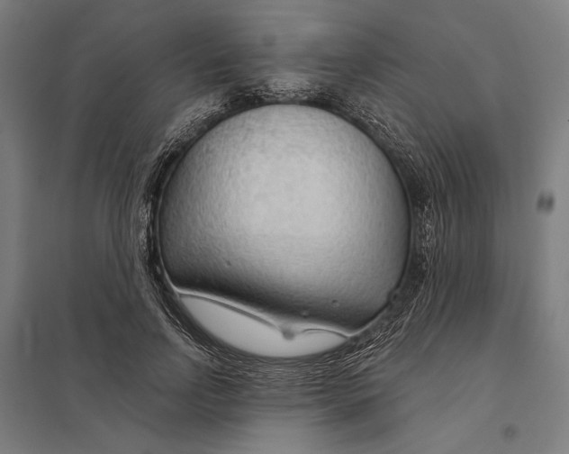 X0000097750742200803281610