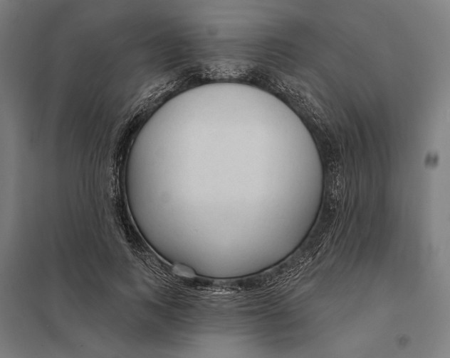 X0000097750743200803281610