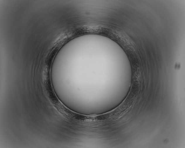 X0000097750744200803281610