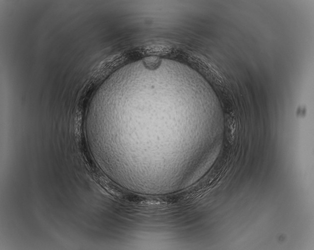 X0000097750745200803281610