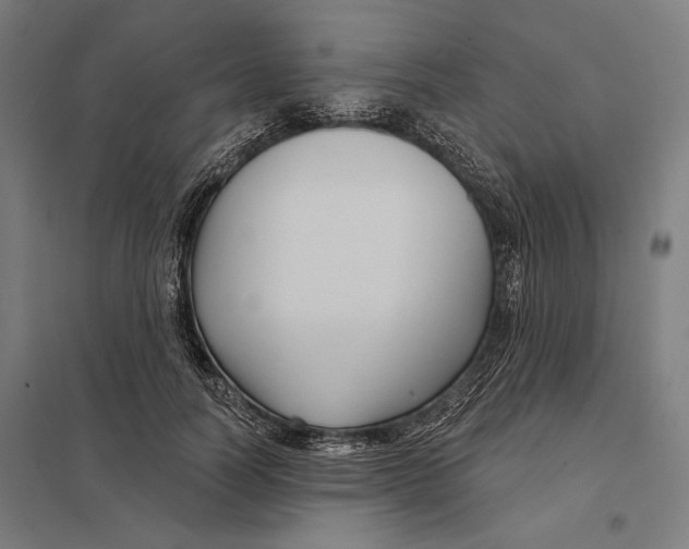 X0000097750746200803281610