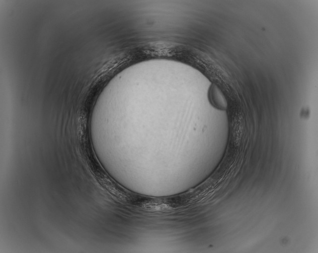 X0000097750747200803281610