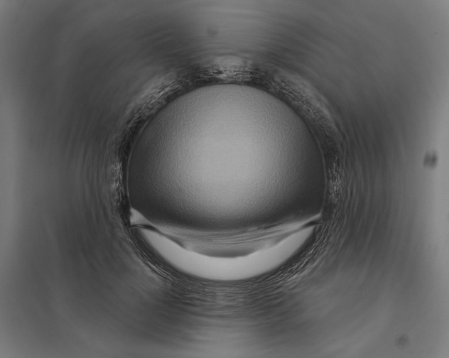 X0000097750748200803281610