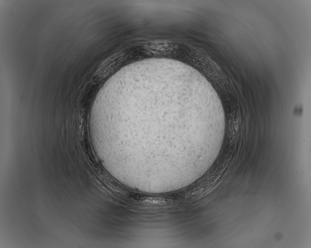 X0000097750749200803281610