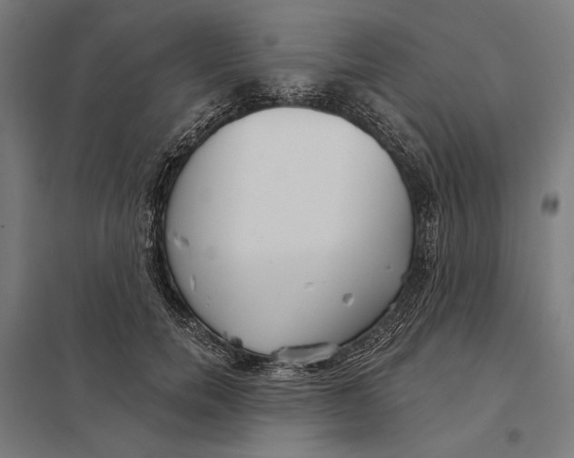 X0000097750750200803281610