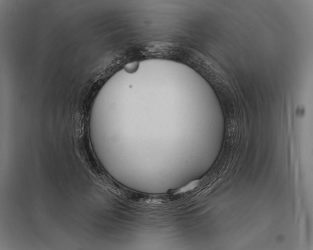 X0000097750751200803281610