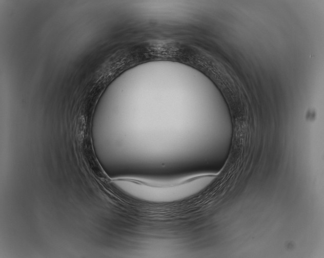 X0000097750752200803281610