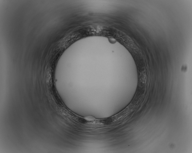 X0000097750754200803281610