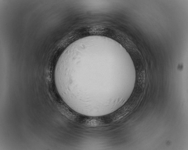 X0000097750755200803281610