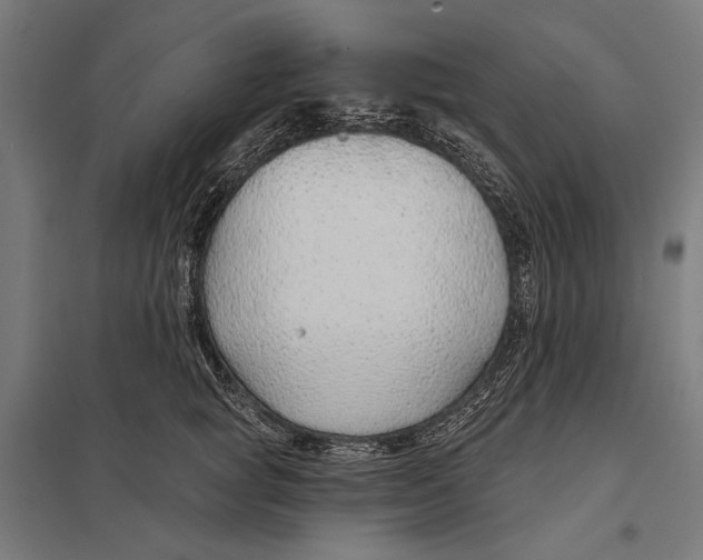 X0000097750757200803281610