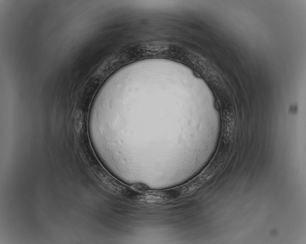 X0000097750758200803281610