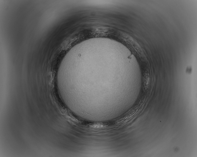 X0000097750759200803281610