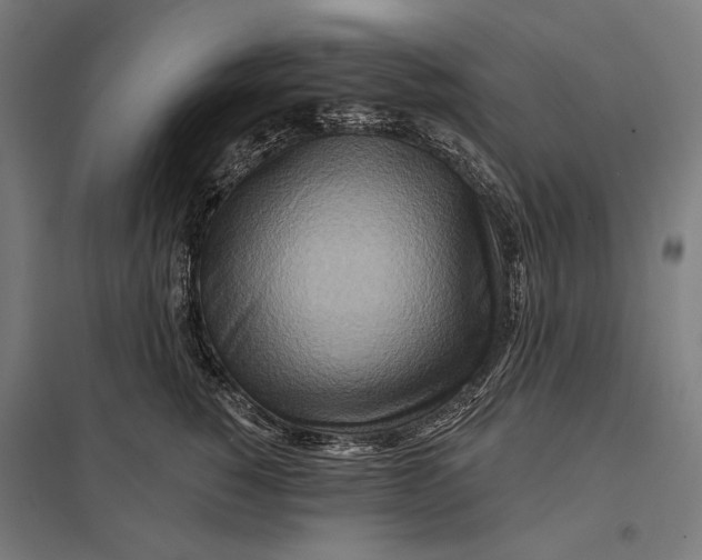 X0000097750760200803281610