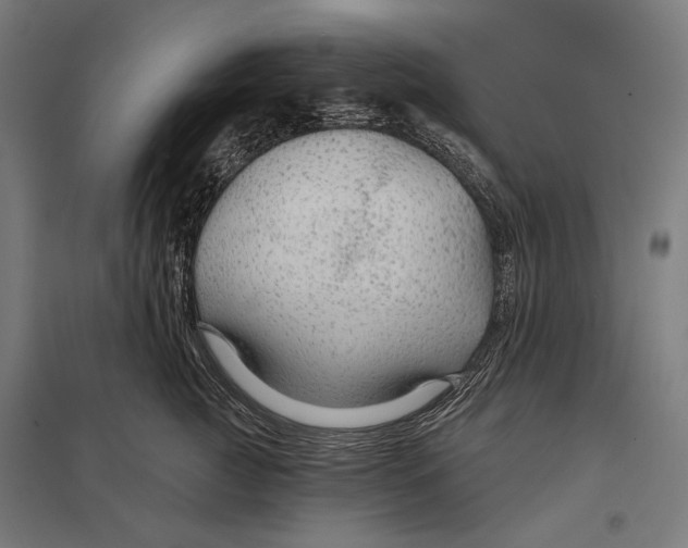 X0000097750761200803281610