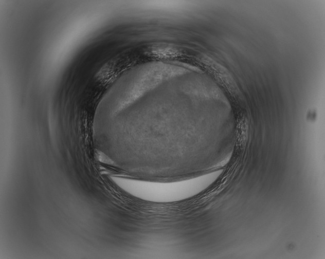 X0000097750762200803281610