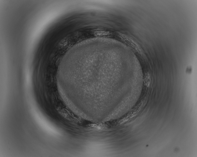 X0000097750763200803281610