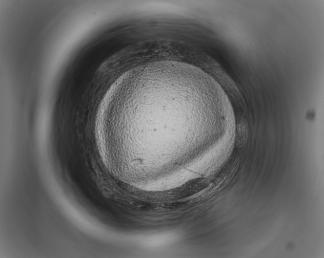 X0000097750765200803281610