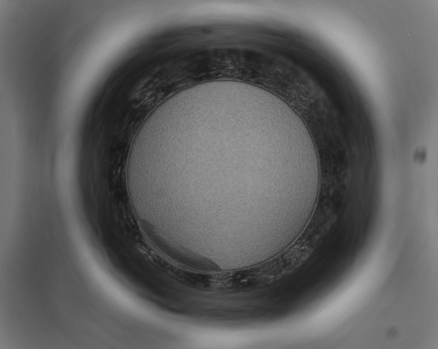 X0000097750766200803281610