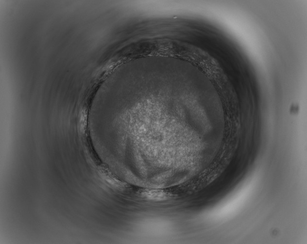 X0000097750767200803281610