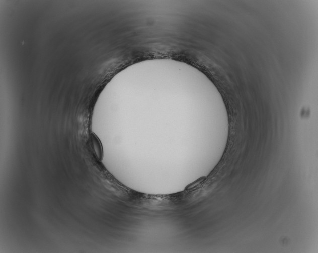 X0000097750768200803281610