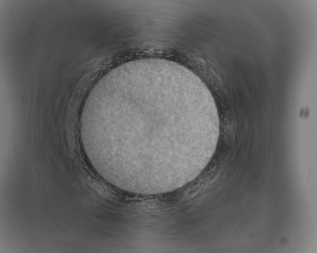 X0000097750769200803281609