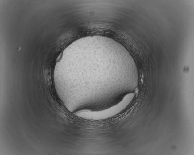 X0000097750771200803281609