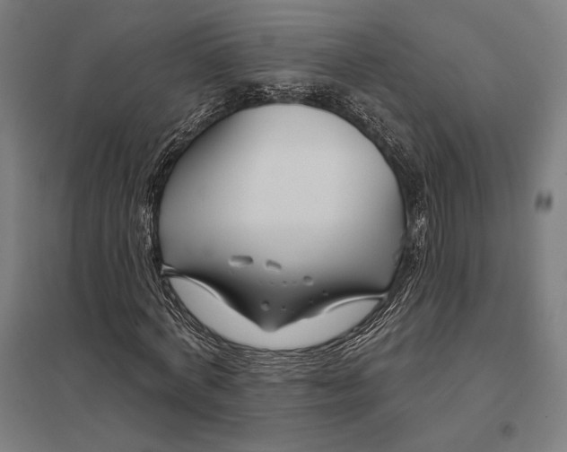 X0000097750772200803281609