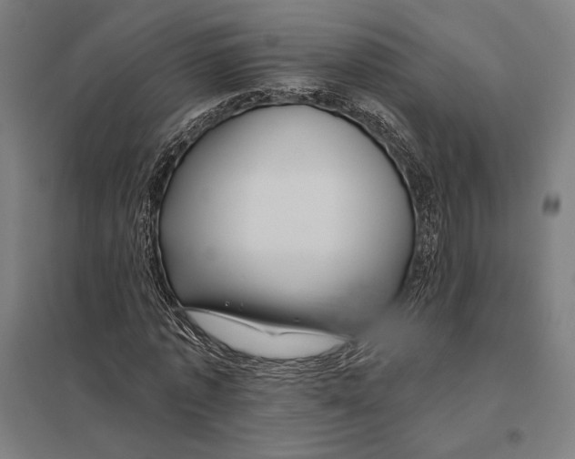 X0000097750773200803281609