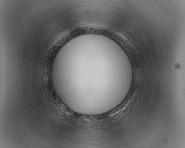 X0000097750774200803281609