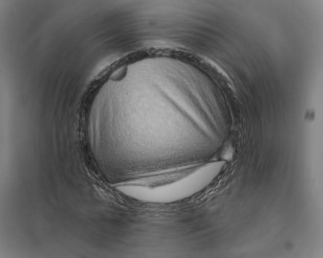 X0000097750775200803281609