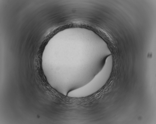 X0000097750776200803281609