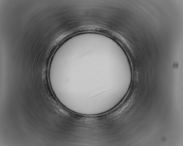 X0000097750778200803281609