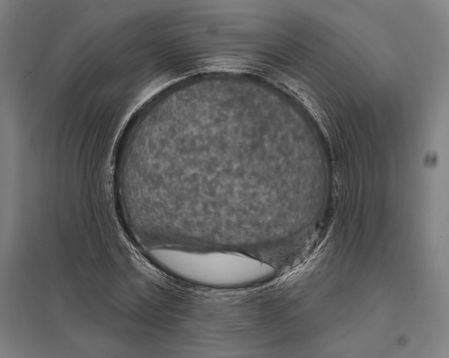 X0000097750779200803281609