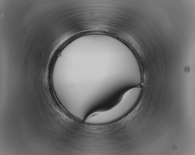 X0000097750780200803281609