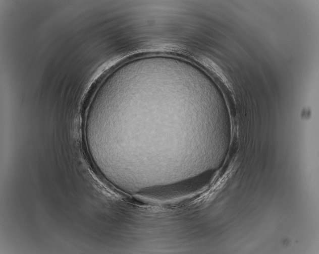 X0000097750781200803281609